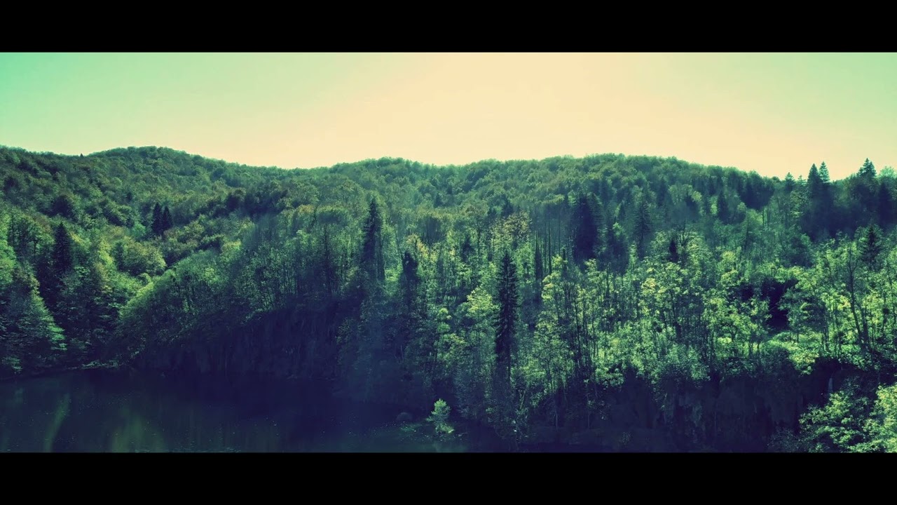 nostalgia for the trees.....ambient