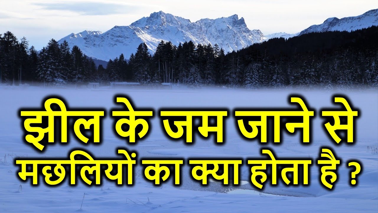 🔴 Anomalous Thermal Expansion of Water || for Class 11 in HINDI