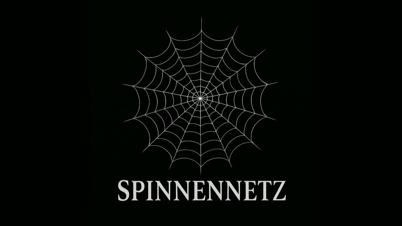 SPINNENNETZ
