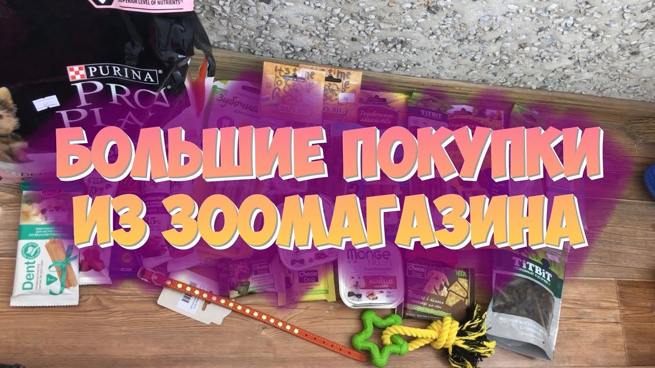 Покупки из зоомагазина | Ева стала мамой | Пополнение в семье
