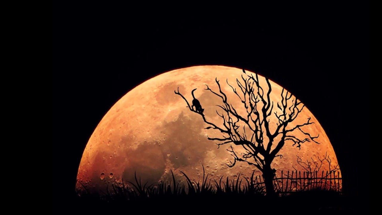 💥 21 Imagenes de la luna Espectaculares
