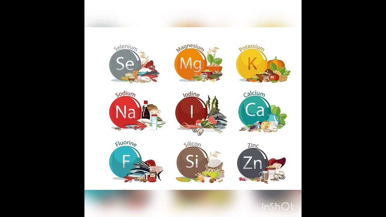 minerals , essentials, micro and macro minerals,trace minerals, functions 👩&zwj;⚕️