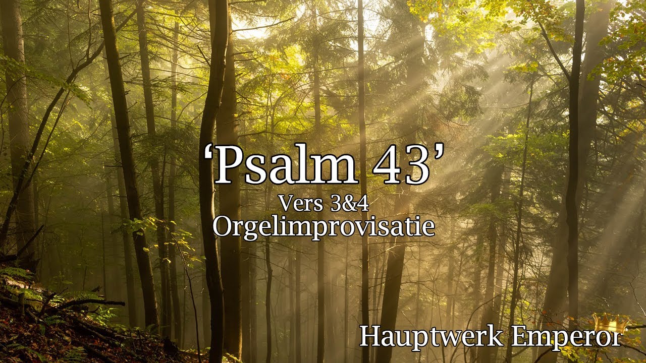 Psalm 43: 3 & 4 - Orgel Improvisatie  (met Lyrics) Hauptwerk Domkerk Utrecht door Matthijs Keizer