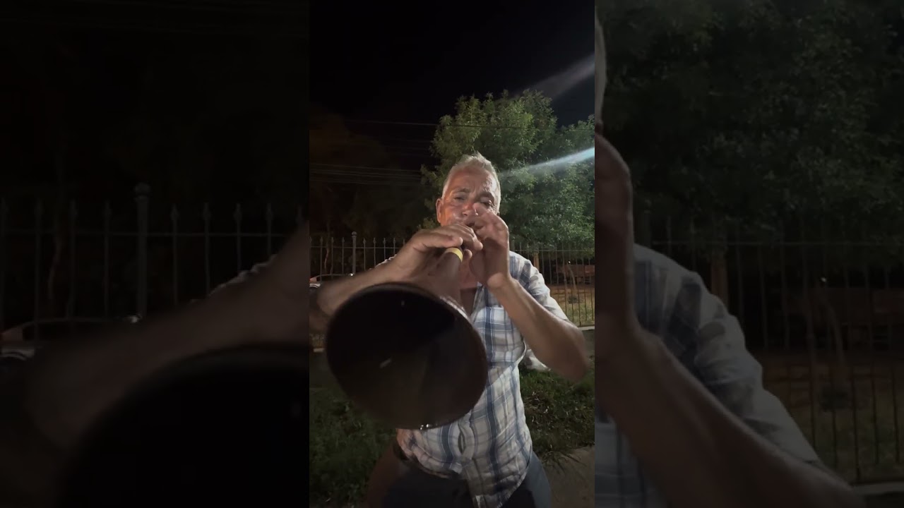 Samsun Alaçam Davul Zurna 