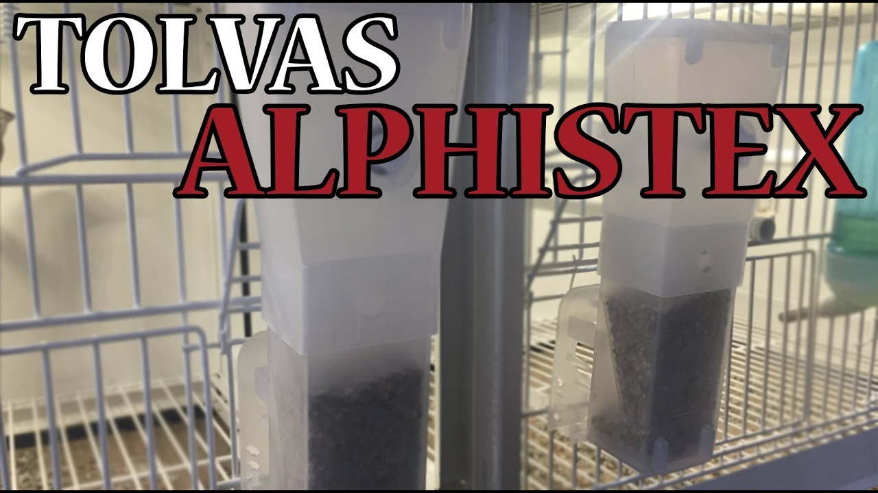 TOLVAS ALPHISTEX |&nbsp;WWW.ORNIVERA.COM