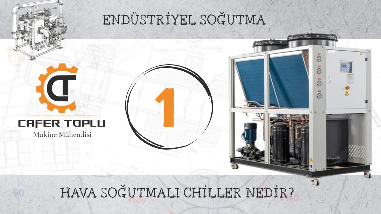 CİLLER NEDİR?