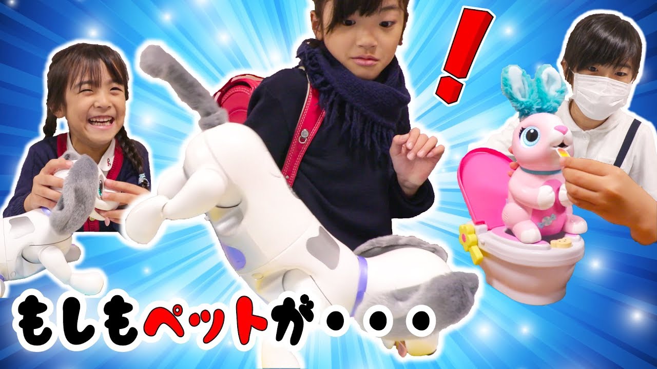 もしもペットが・・・ロボットだったら・・・？
