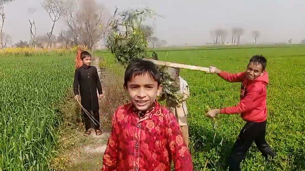 Kheton Mein ghumne firne Aaye Hain