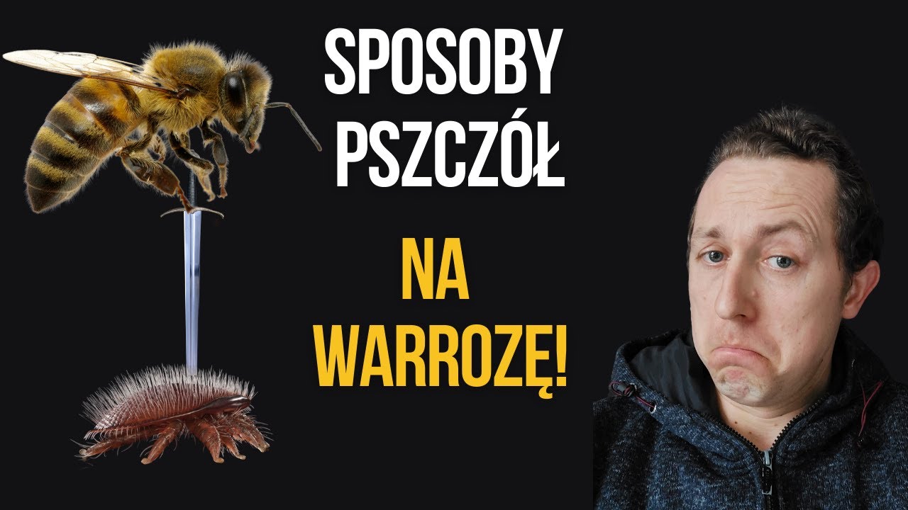 Jak pszczoły radzą sobie z warrozą?