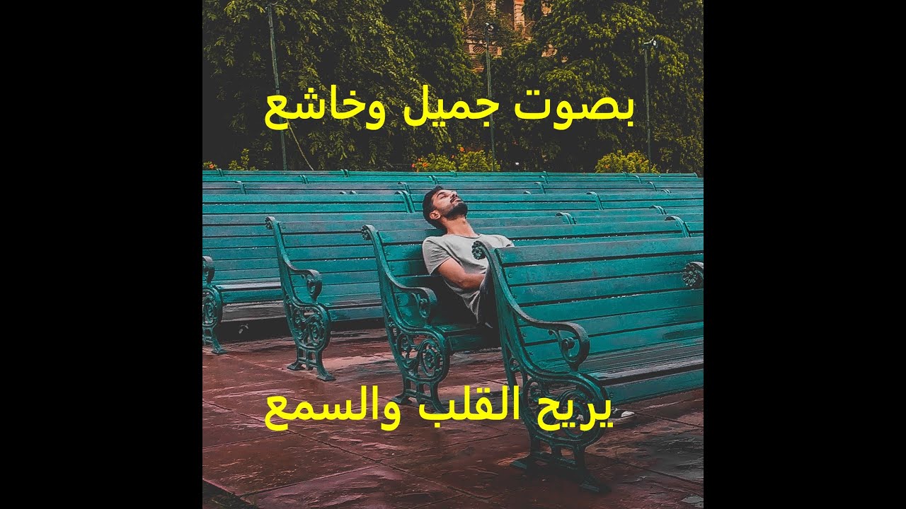 تلاوة هادئة عطرة تريح القلوب سورة المؤمنون