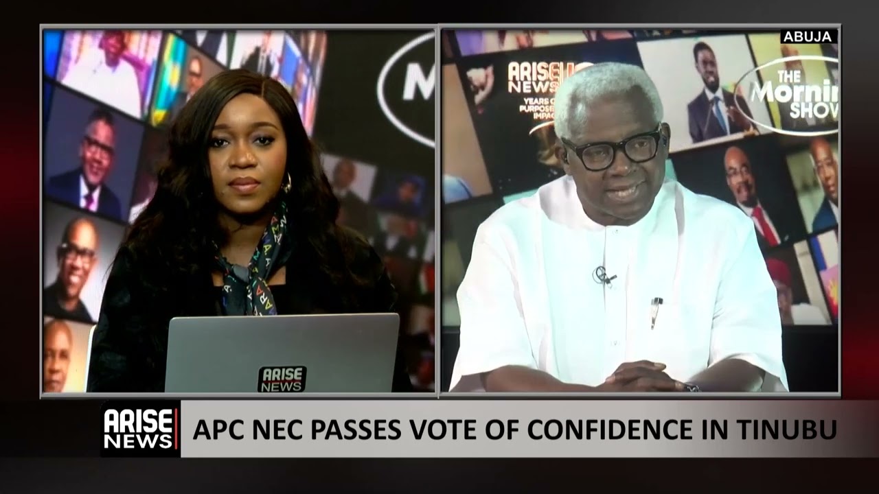Security, Infrastructure & Economy Motive Behind APC NEC Vote of Confidence in Tinubu - Okechukwu