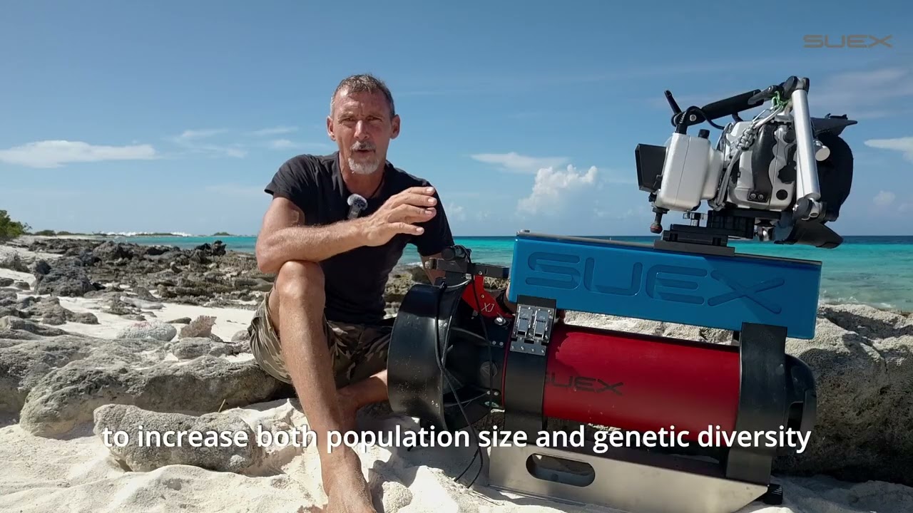 EP. 30 SUEX STORIES  - REEF OF RESILIENCE BONAIRE