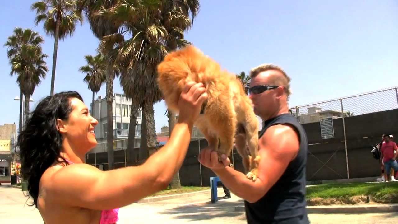 ALINA POPA and the Fly N Lion