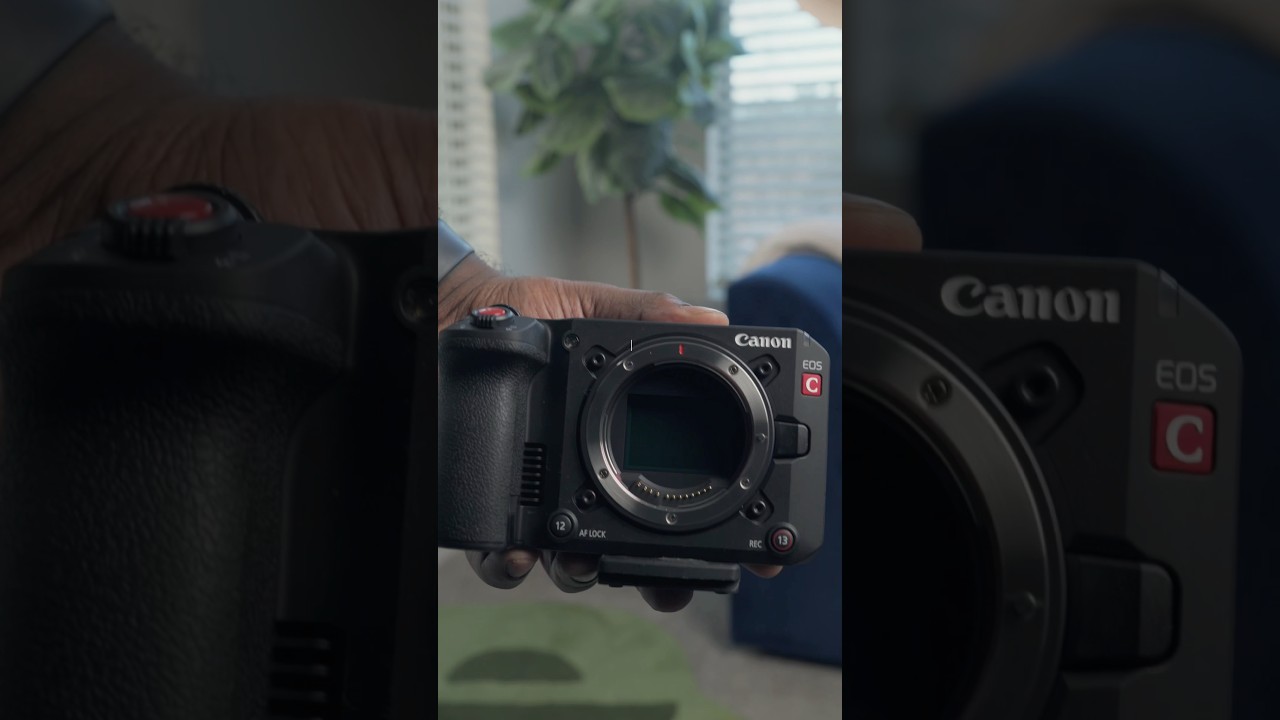 New Camera Alert 🔔 Canon C50