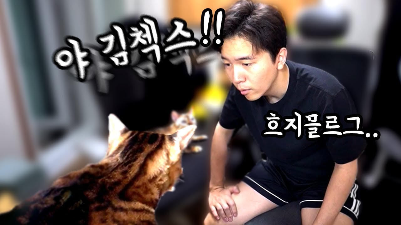 김첵스 흐지믈르그..!  말 안듣는 고양이 첵스