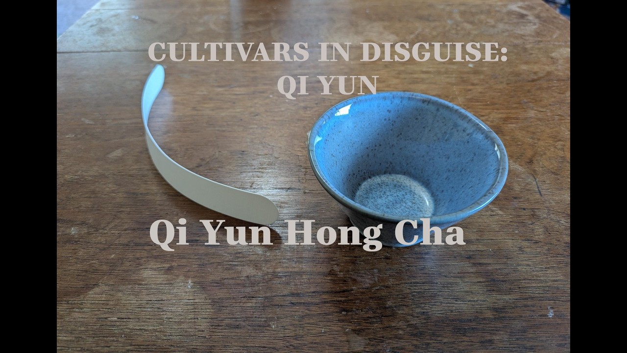 Cultivars in Disguise: Qi Yun Hong Cha