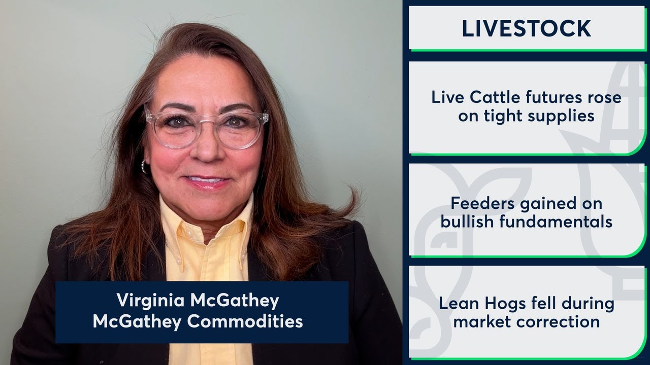 Live Cattle and Feeder Cattle futures moved higher. 2/11/26