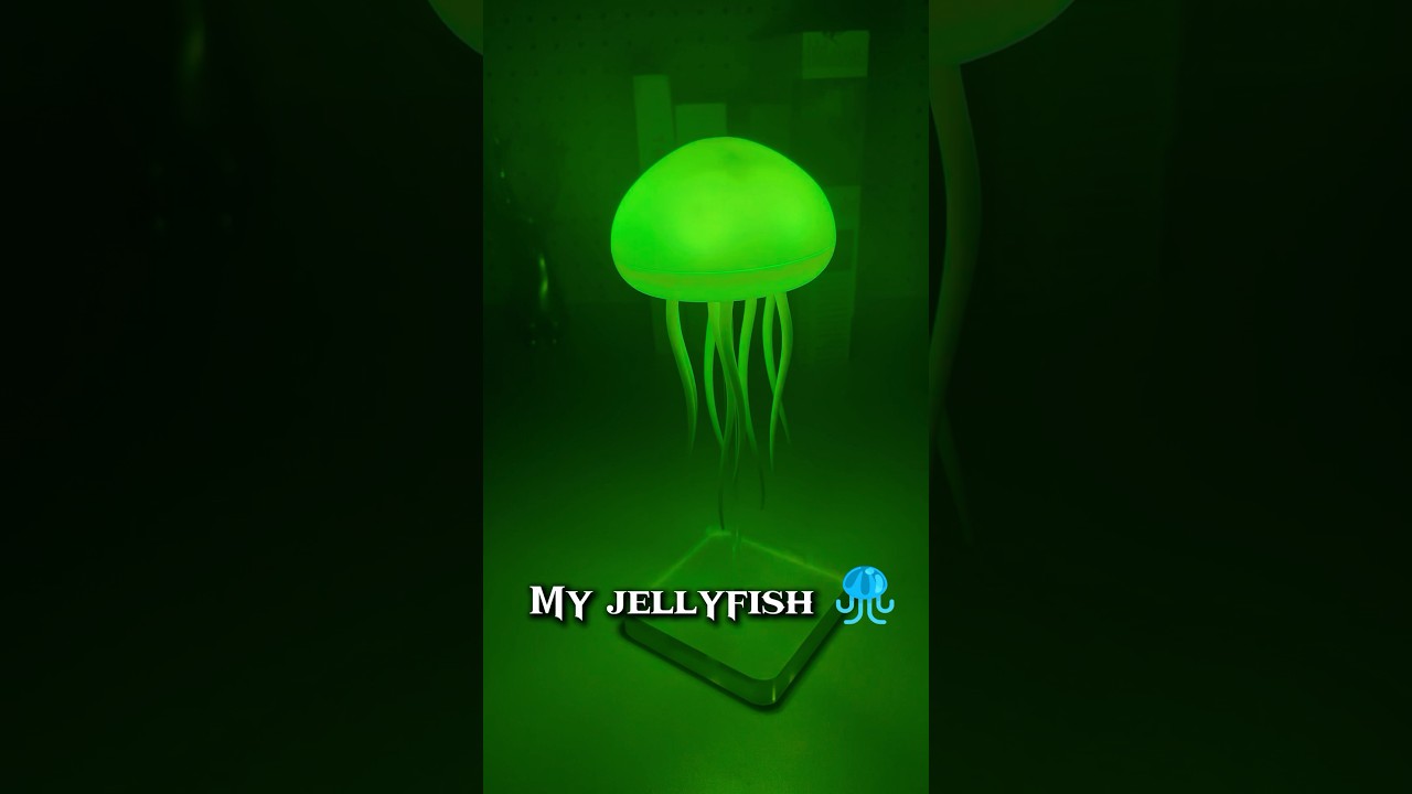 Jellyfish Lamp is so beautiful🪼🥹 #jellyfishlamp #foryoupage #jellyfish #lamp