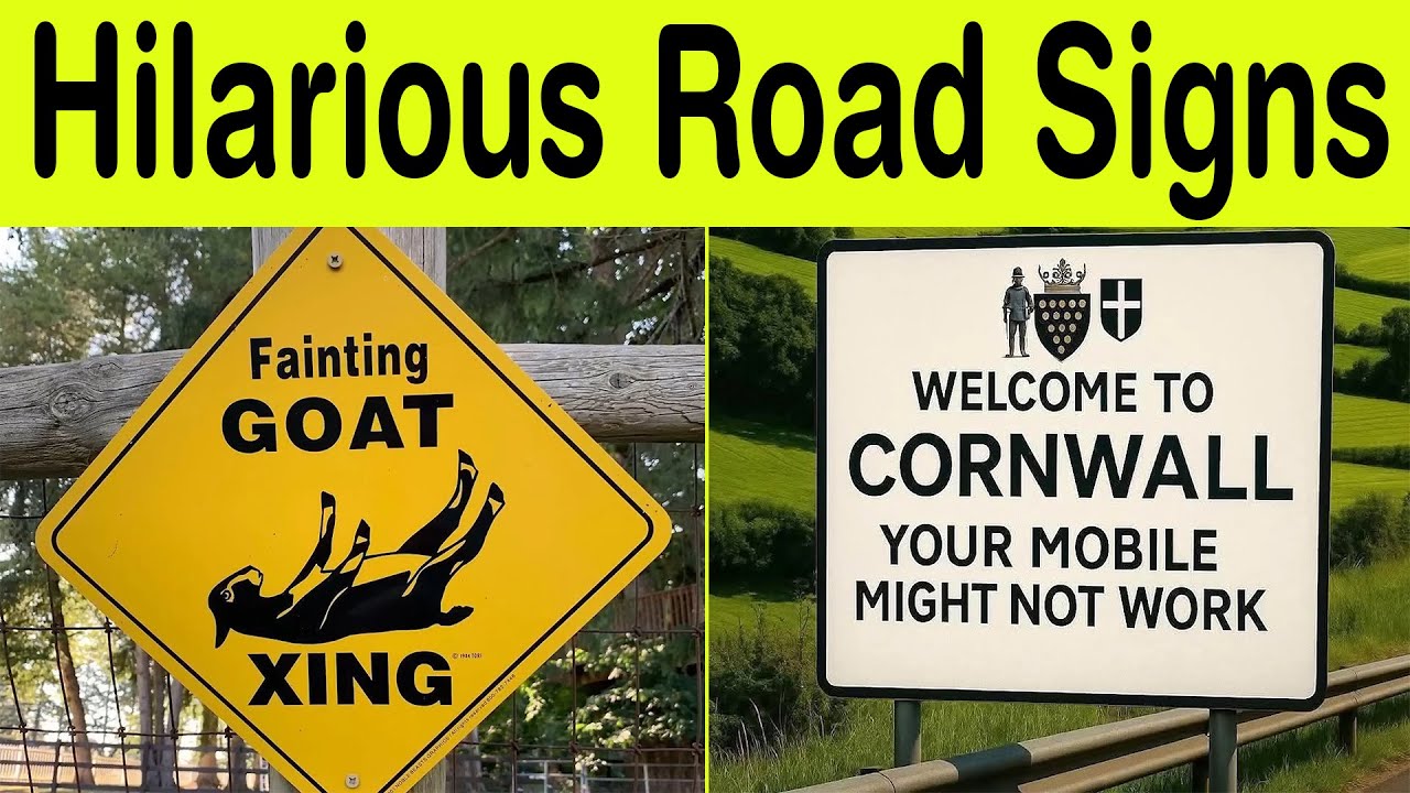 Hilarious Signs Ever Spotted in Everyday Life || Happy Panda