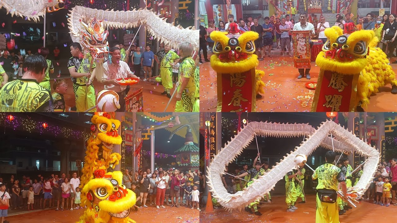 新加坡腾陽龍狮体育会 Teng Yang Lion and Dragon Dance Caiqing Performance at 七福宫
