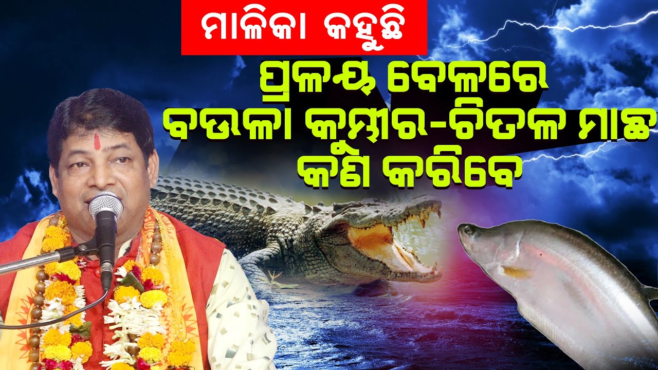 ପ୍ରଳୟ ବେଳେ ବଉଳାକୁମ୍ଭୀର- ଚିତଳ ମାଛ କଣ କରିବେ Pralaya Belare Baula Kumbhira -Chital Machha Kan Karibe ||