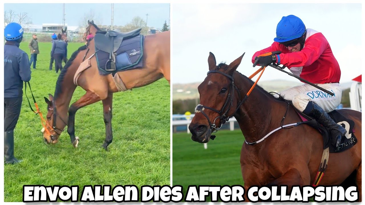 Лошадь Envoi Allen, участвовавшая в скачках в Челтнеме, скончалась после того, как упала в обморо...