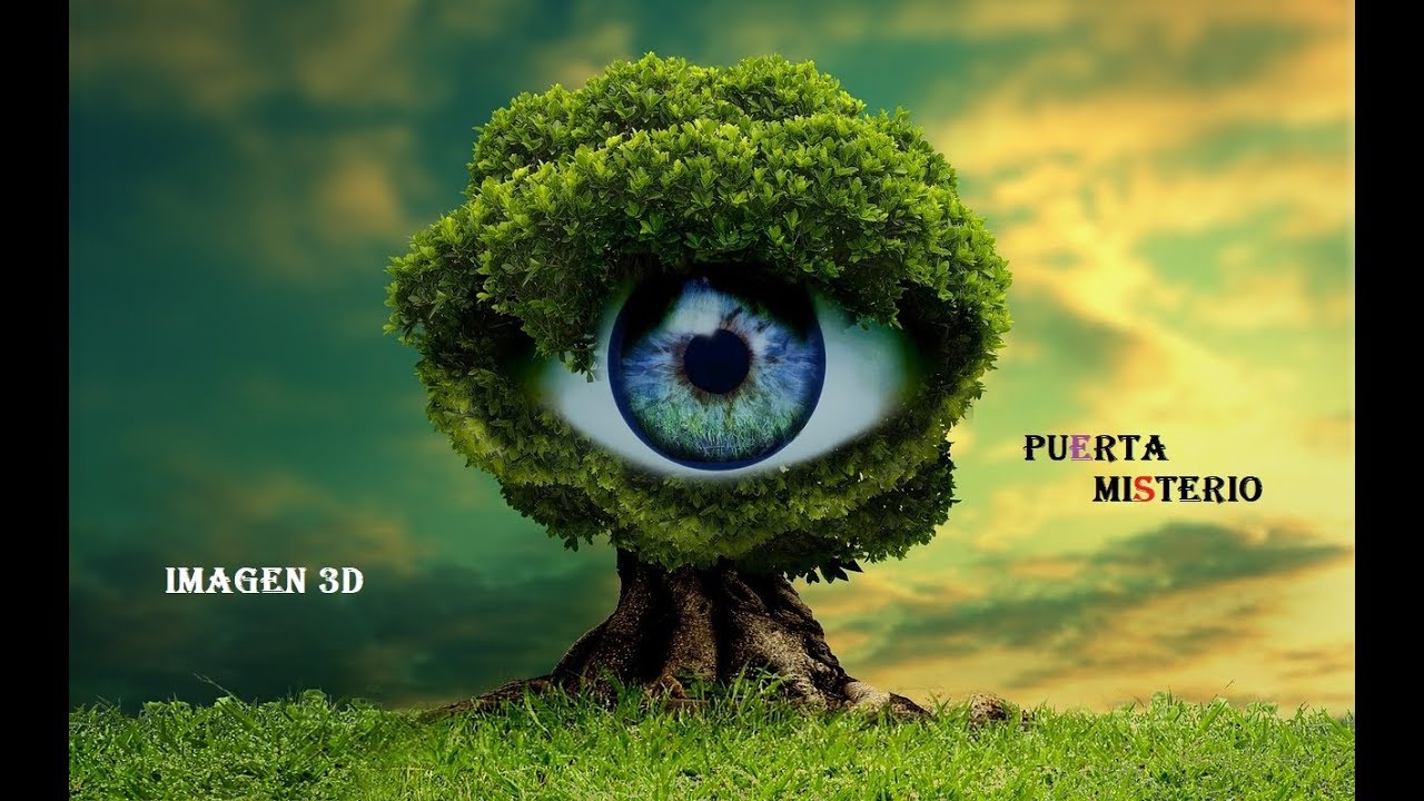 SI LOGRAS VER ESTAS IMAGENES 3D. TIENES UNA MENTE DESARROLLADA