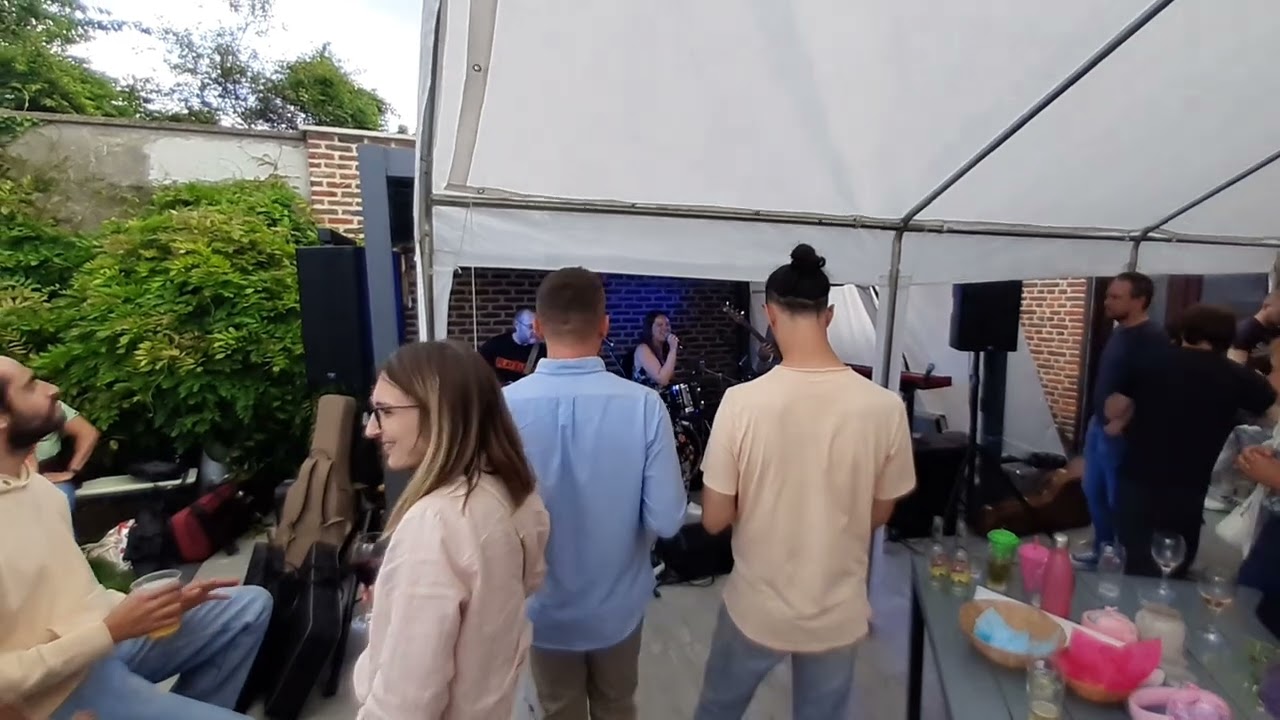 1 all shook up live  Juillet 2024