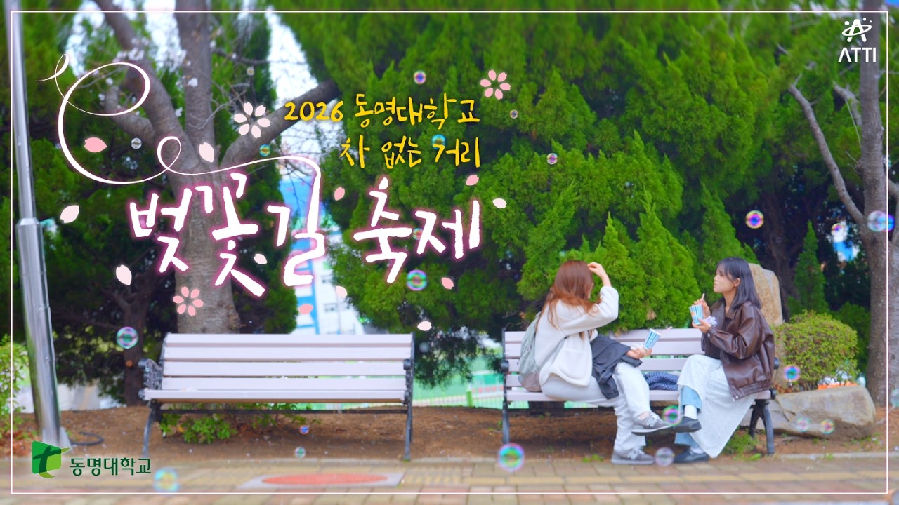 차 없는 거리에서 만난 봄🌸 | 2026 동명대 벚꽃축제 현장 스케치