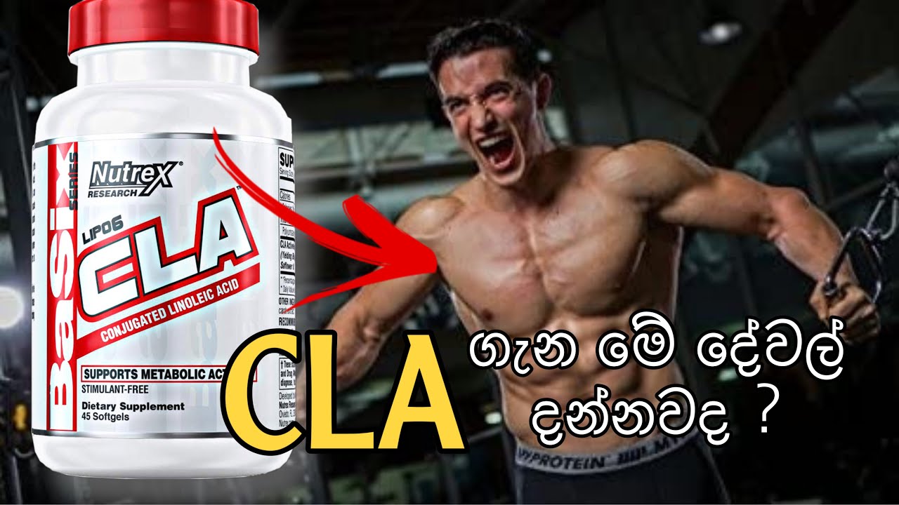Fat Burner CLA|CLA ගැන හරියටම කාටද අවශ්‍ය|ගතයුත්තේ අැයි|එහි වැදගත්කම සහ අපට අැති ප්‍රතිපල(සිංහලෙන්)