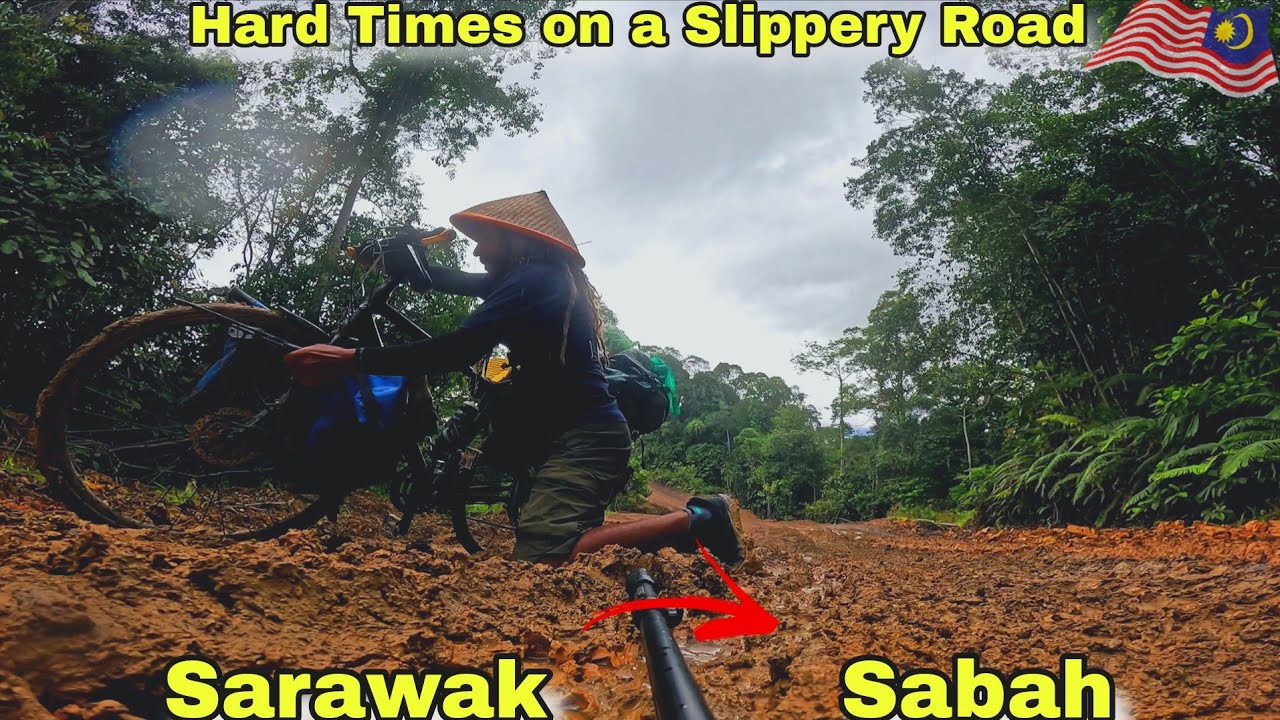 V59🇲🇾: I Was Attacked by Bees on a Tough Road to Sabah.
