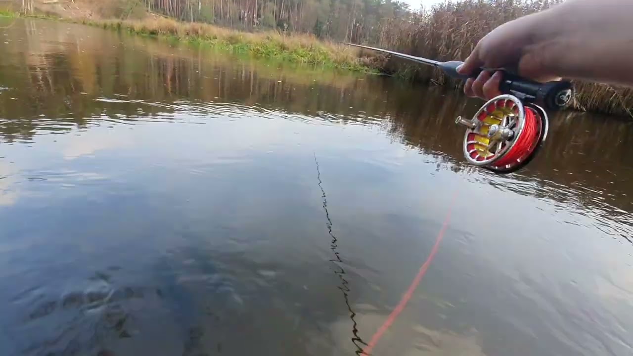 EGO CUSTOM COMPETITOR 11' #2 - lipieniowy ideał