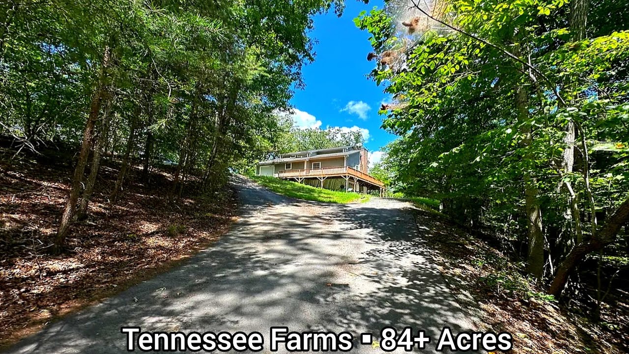 Tennessee Farms For Sale | 84+Acres | Tennessee Land For Sale|Tennessee Investment Property For Sale