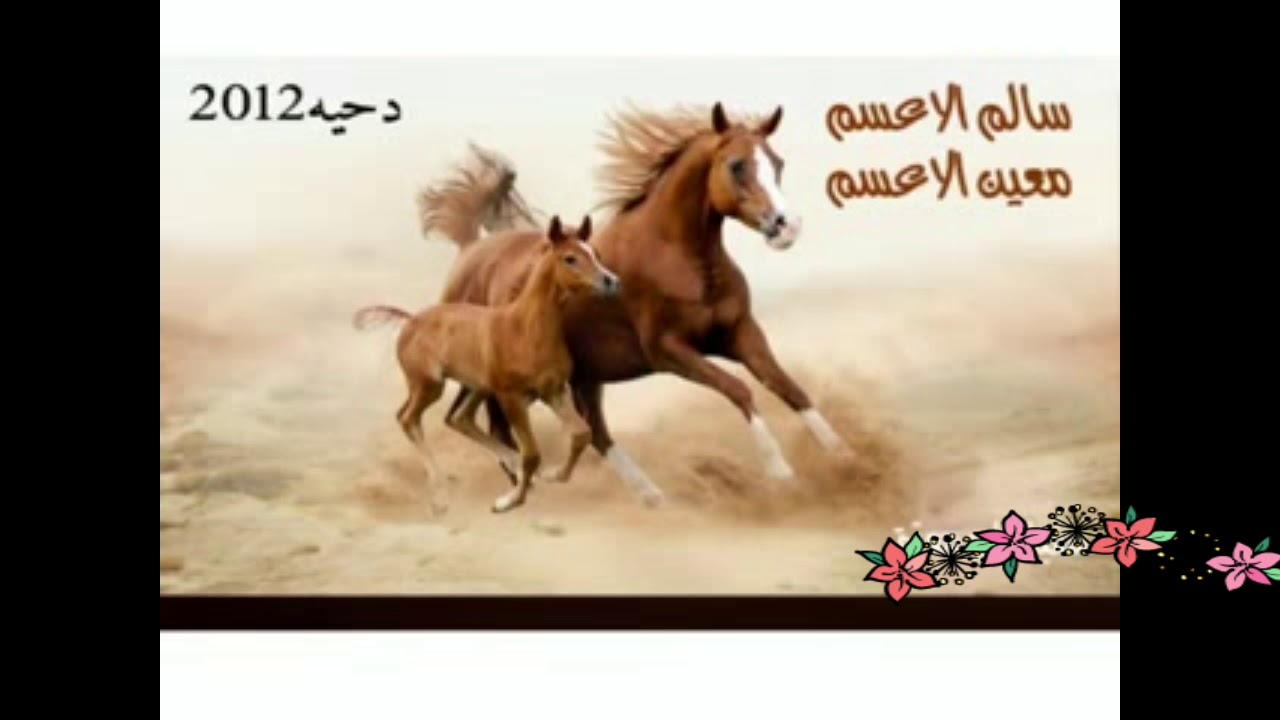 #دحية سالم الاعسم #معين الاعسم #سامر  قديم طرب اصيل