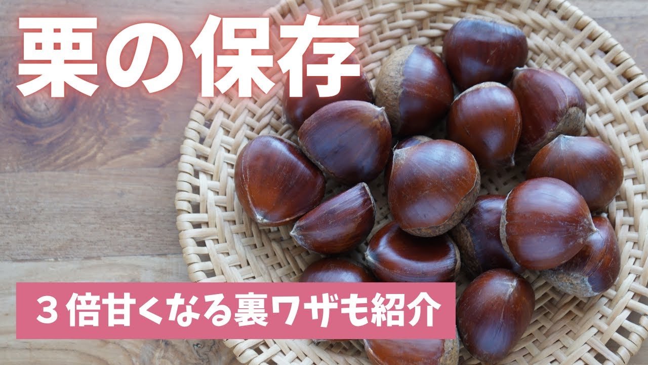 【栗の保存＆冷凍】甘みが3倍アップする裏ワザを紹介します！（島本美由紀の保存から食品ロス削減）