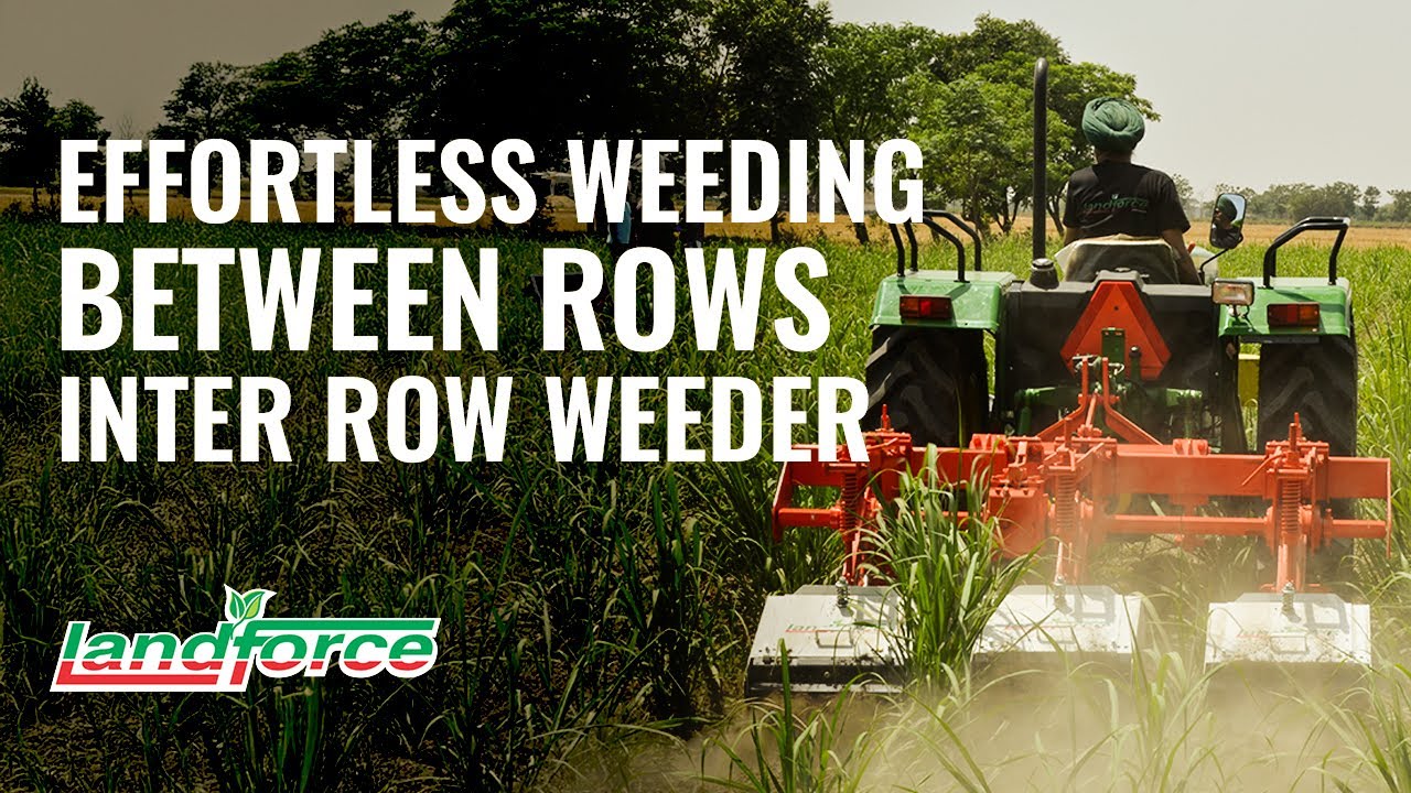 INTER ROW ROTARY WEEDER LANDFORCE