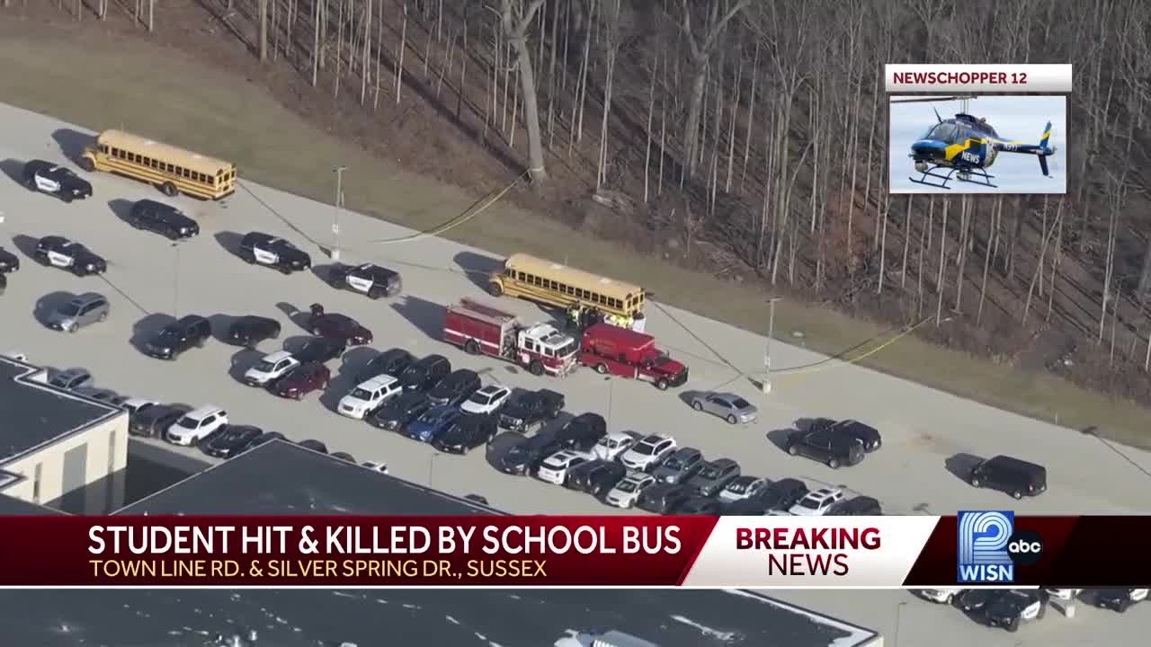Child hit and killed by school bus
