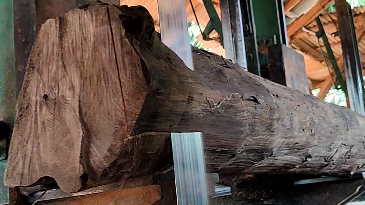 Turning old teak wood into expensive house frame beams #213