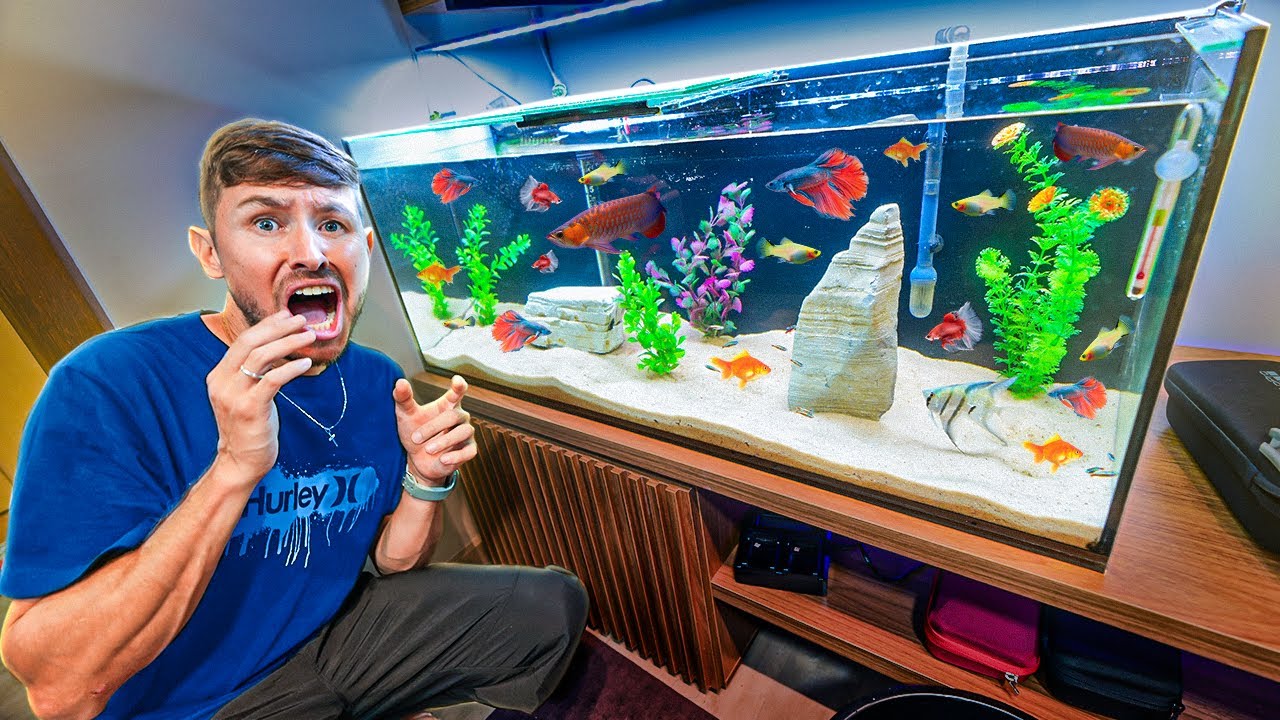 COMPREI TODOS OS PEIXES PRO AQUARIO DO RENAN