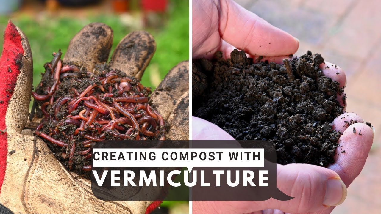 Cara Mudah Membuat Kompos Dengan Vermiculture| English Subtitle