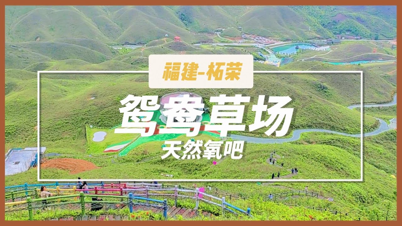 带你打卡福建柘荣鸳鸯草场，&rdquo;南方的呼伦贝尔，福建版的武功山