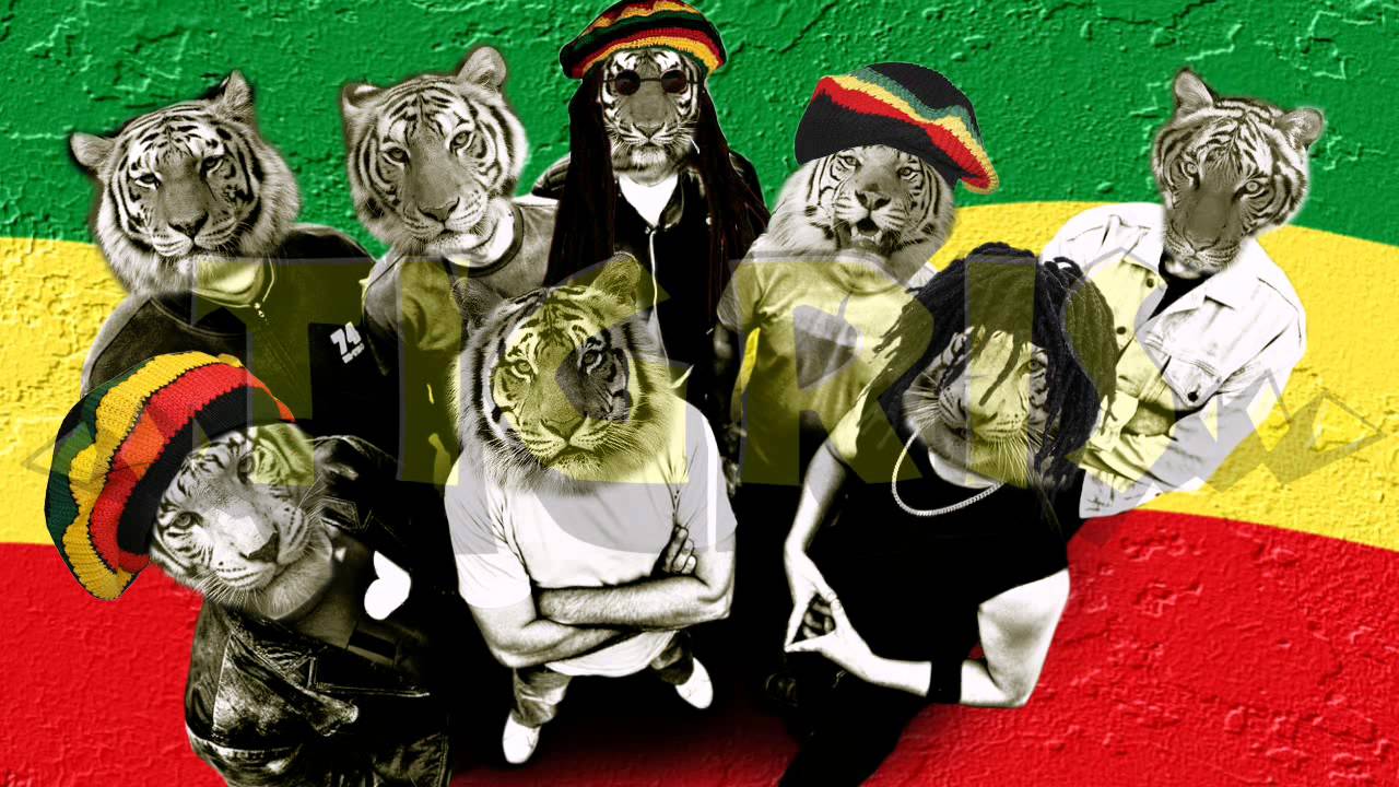 TIGRIS - Divatos (2012, Copy Con, punk rock reggae)