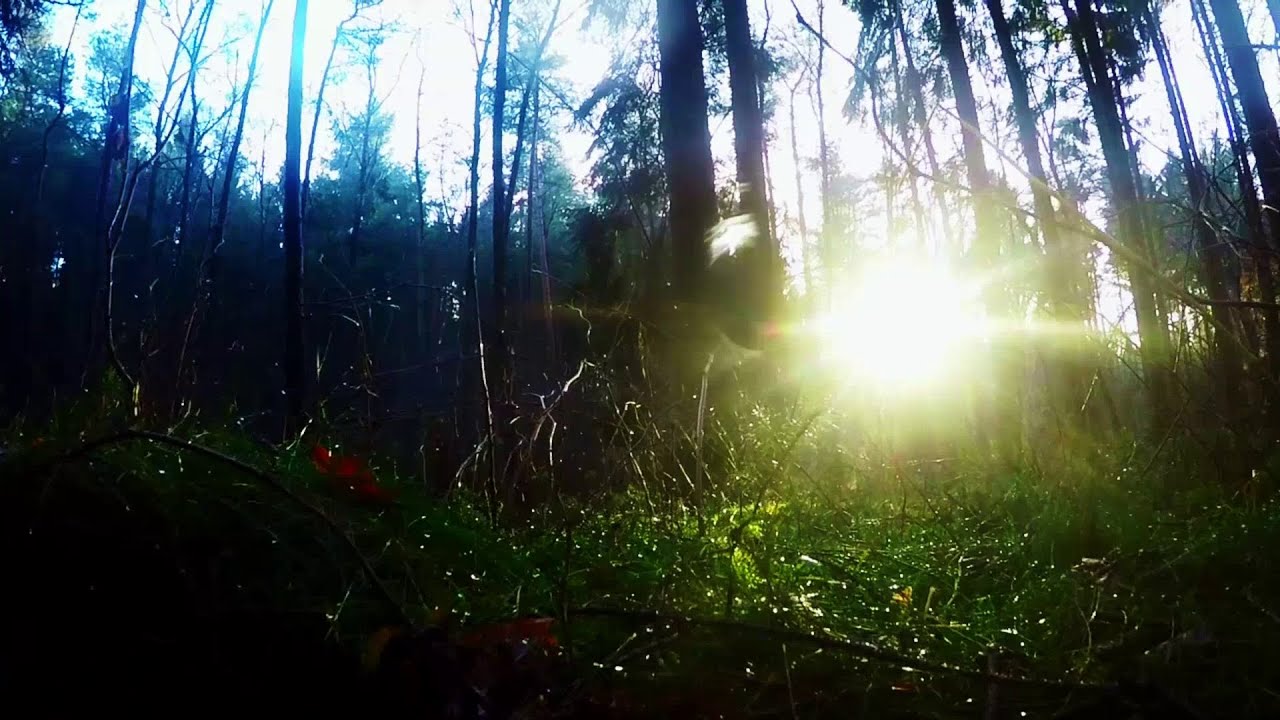 dirk rohde - xu.sounddesign | 