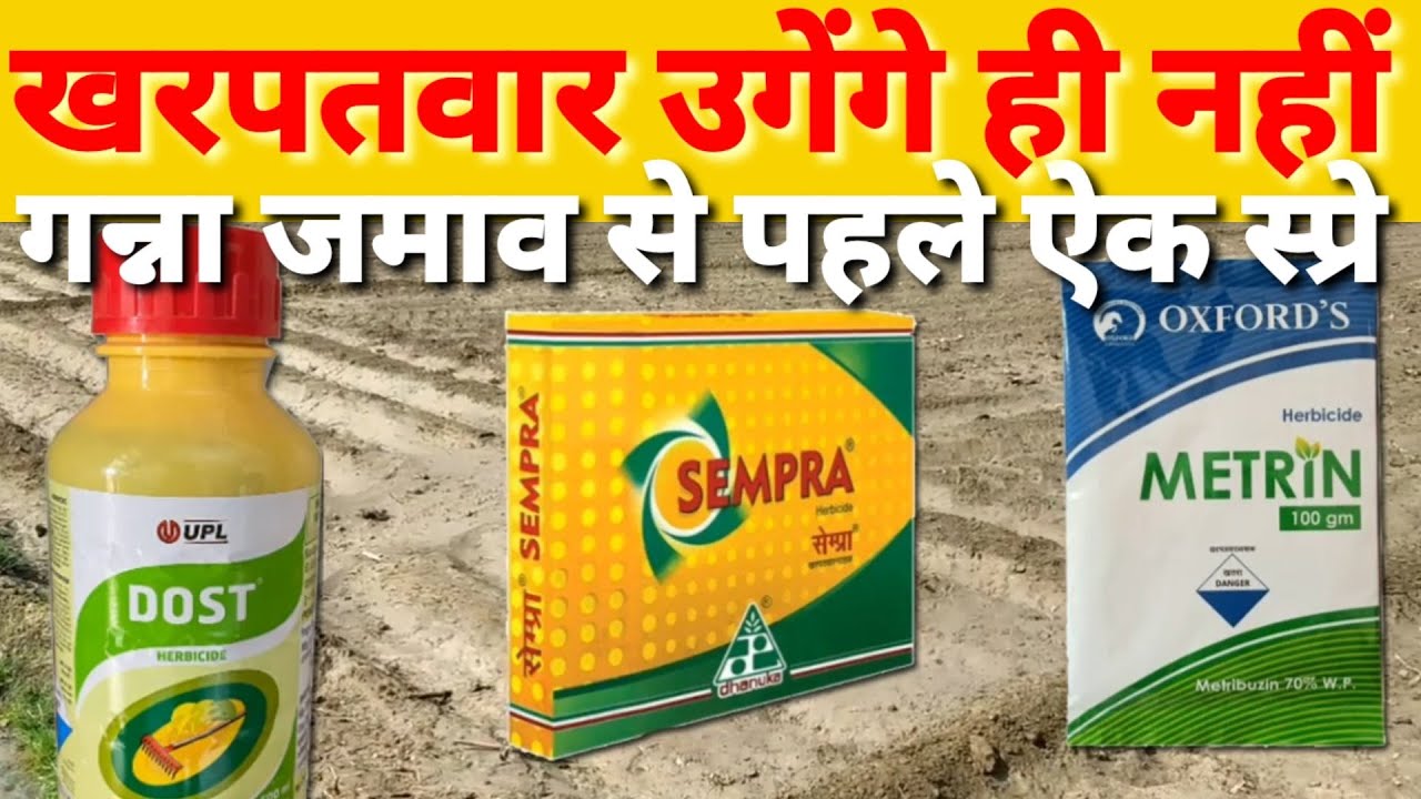 गन्ने में खरपतवार उगेंगे ही नहीं नंबर 1 फॉर्मूला । Pendamethlin 30% Ec । Ganne Me Ghas Ki Dvai ।