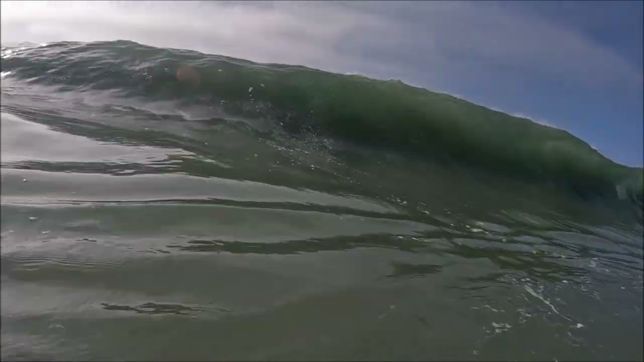 seal beach february 2026 waves
