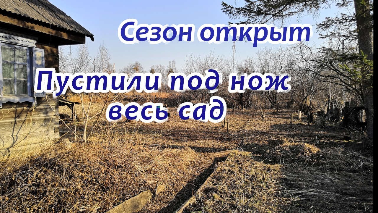 Выпилили сад, продолжаем наводить порядок!