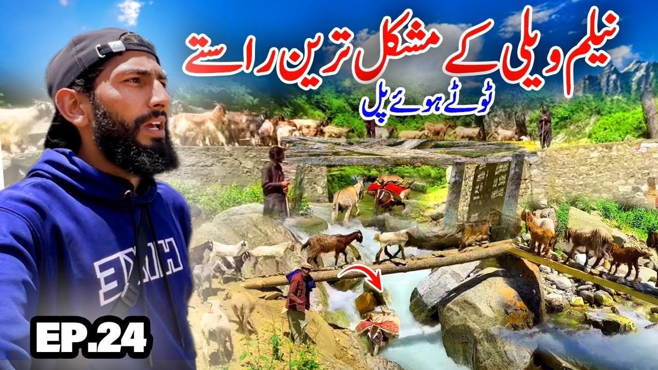 😨 Crossing Dangerous Wood Bridge in Neelam Valley | Travelling With Bakarwal in Kashmir Episode 24