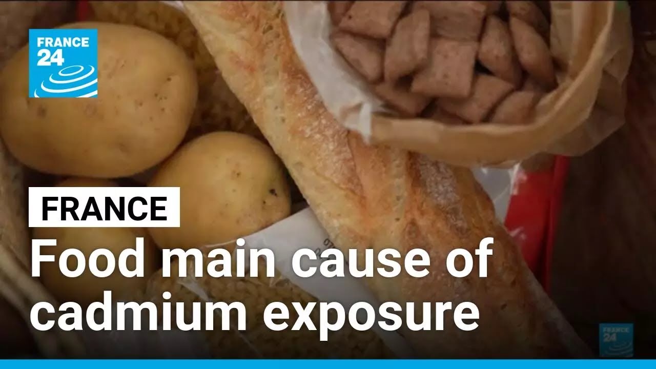 France overexposed to heavy metal cadmium due to food &bull; FRANCE 24 English