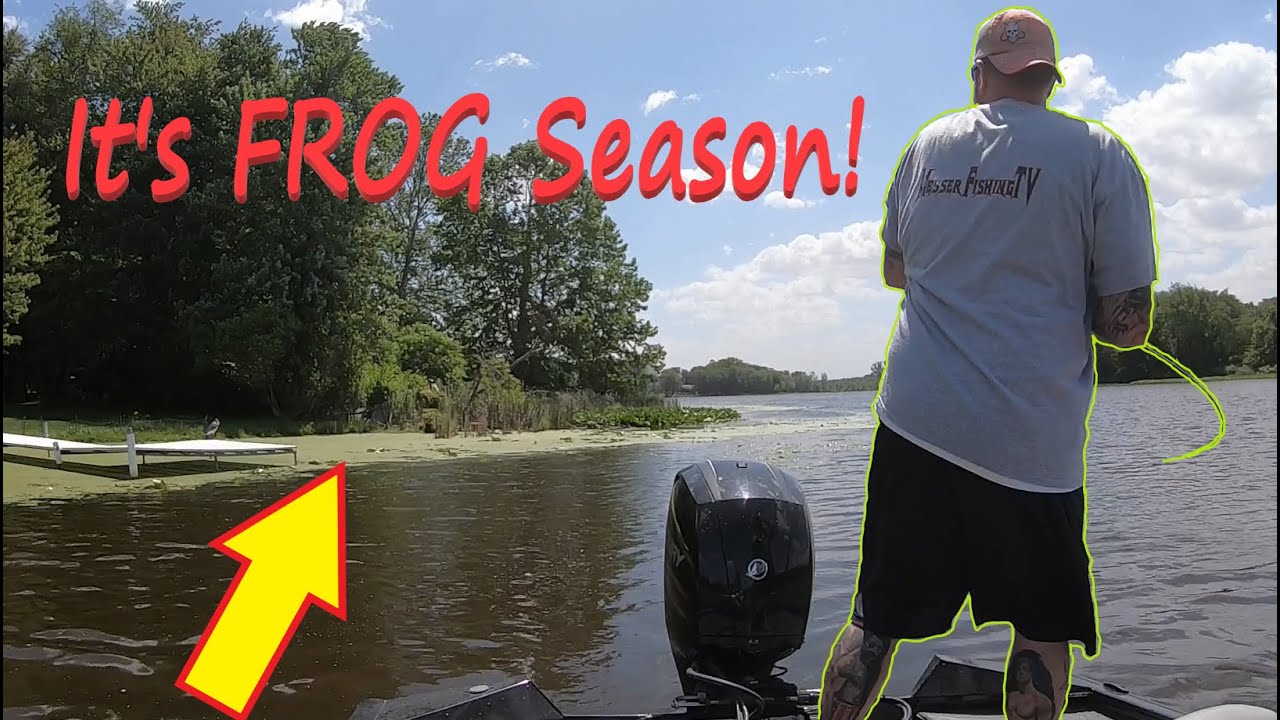 Throwing a Frog on Duckweed for an EASY Bite!