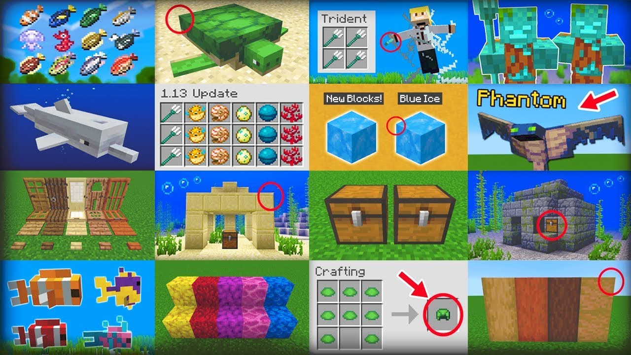75 Things Added in Minecraft 1.13 Update Aquatic